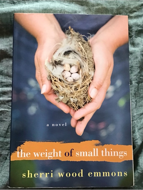Kensington Other - THE WEIGHT OF SMALL THINGS.  By Sherri Wood Emmons